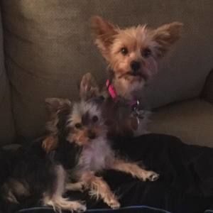 Meet your Posher, Dale